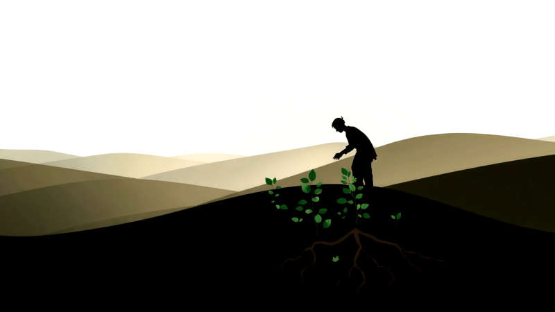 Paz y esperanza en la naturaleza resiliente