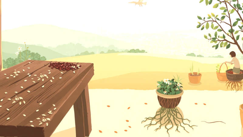 Paz y esperanza en la naturaleza serena