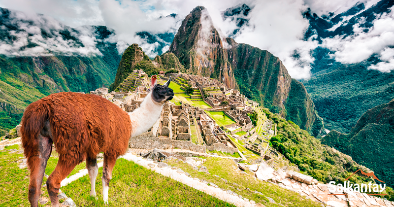 Machu Picchu: Misterio y grandeza inca