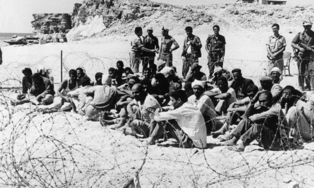 OLP: De la lucha armada al reconocimiento internacional